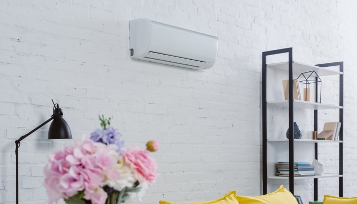 Mini Split Zoned Air Conditioning